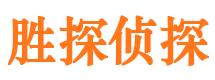 桥东找人公司